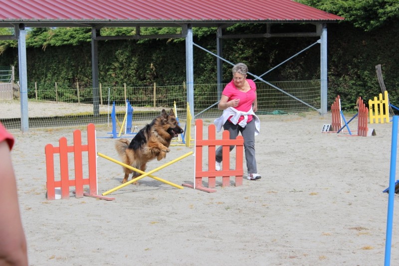 Stage Agility 2014